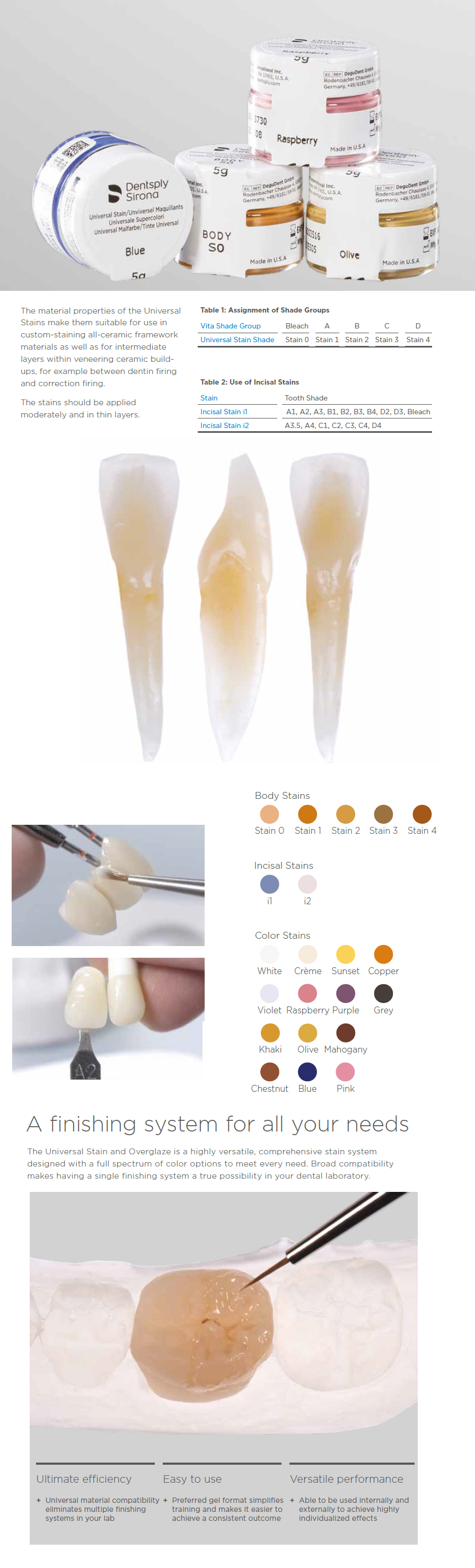 Dentsply Universal Stain ve Glaze Seti